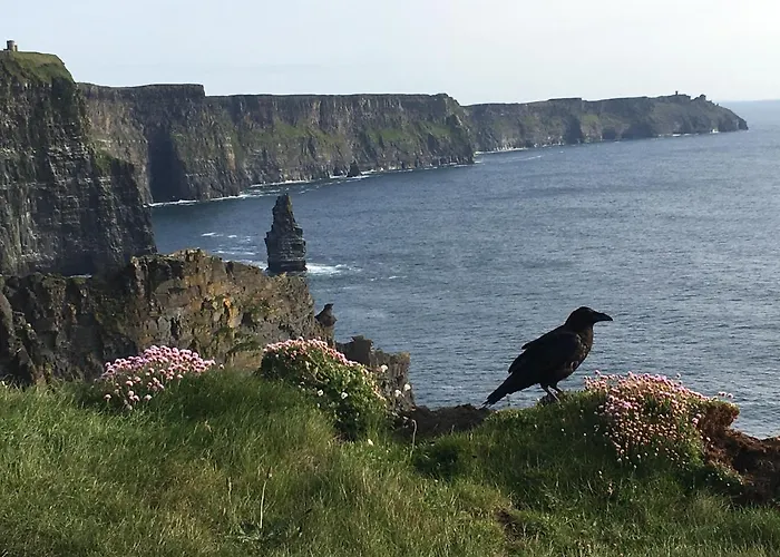 Ashford Court Boutique 3* Ennis